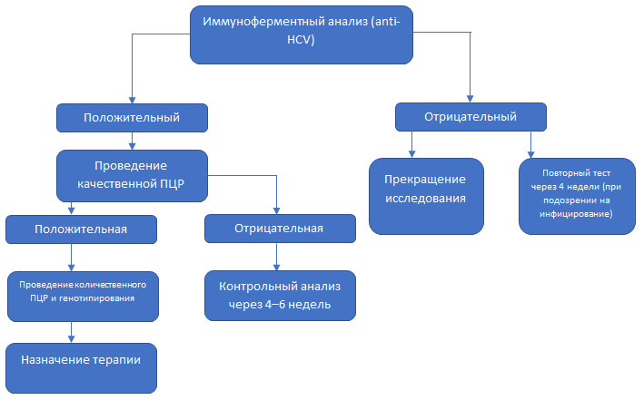 Схема количественного определения РНК