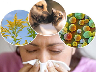 Классификация аллергенов