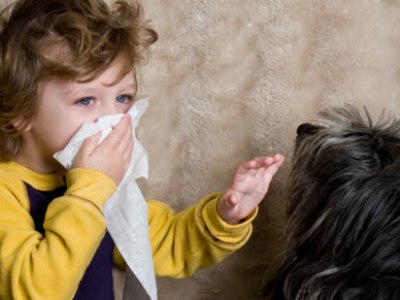 Аллергия на собаку у ребенка